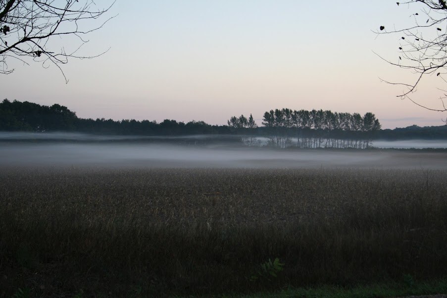 A harvested field