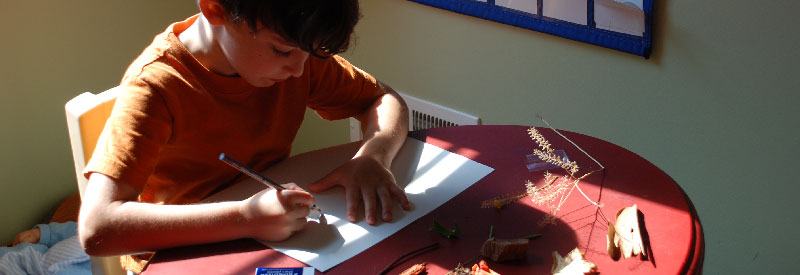 Homeschool Electives