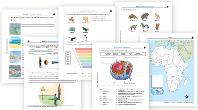 Sonlight Science: Now includes full-color Activity Sheets
