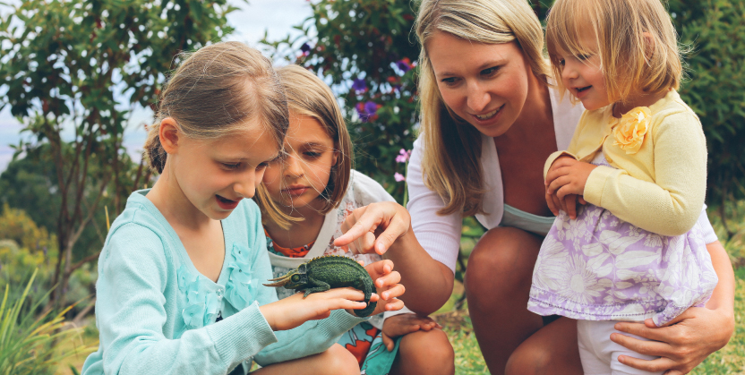 A girl holding a chameleon as others observe
